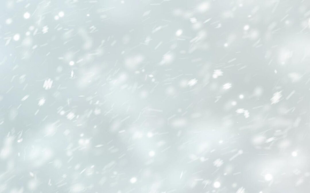Es lebe der Schnee