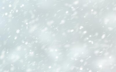 Vive la neige